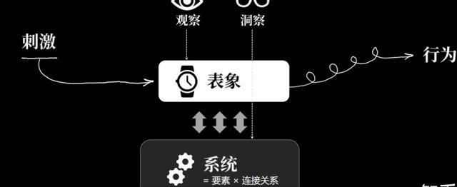怎么提升自己透过现象看本质,如何提高看透人的能力