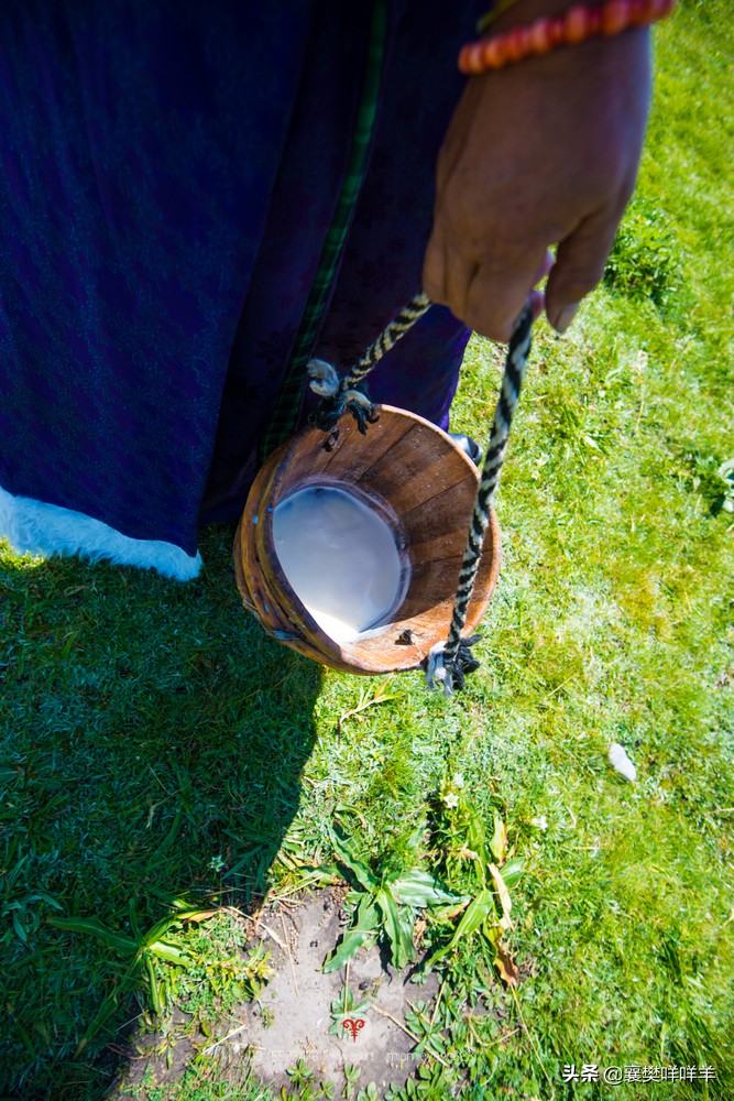 中国名马之乡,也是亚洲第一天然牧场