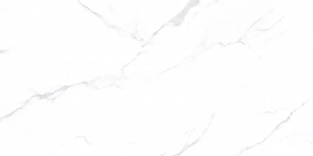 茂名开发区大唐合盛,茂名市电白大唐合盛