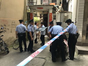 邻居屋前栽树遮住我家阳光怎么办,邻居大面积种树影响我家采光