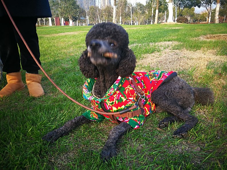 漫步河畔公园全景图,漫步公园美景