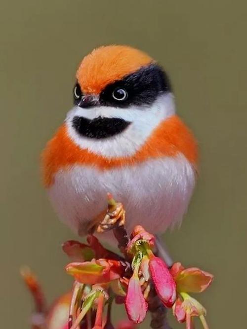 社会犹如一条船,社会就像一个丛林