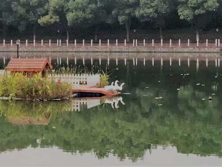 南京财经大学红山学院长什么样,南京财经大学红山学院院系数量