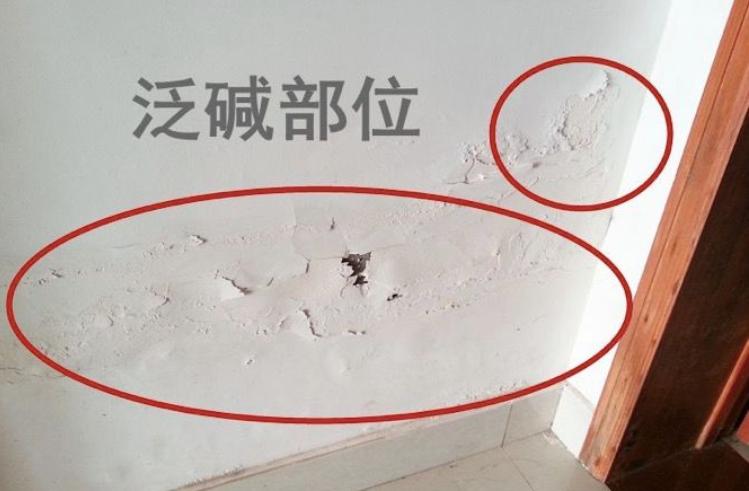 20年老漆工大胆揭秘：为什么都要给腻子加胶水！别说没告诉你