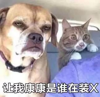 日本中二招式,日本的中二之魂