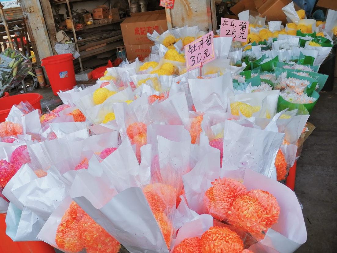 广州岭南花卉市场订花,广州岭南花卉市场攻略