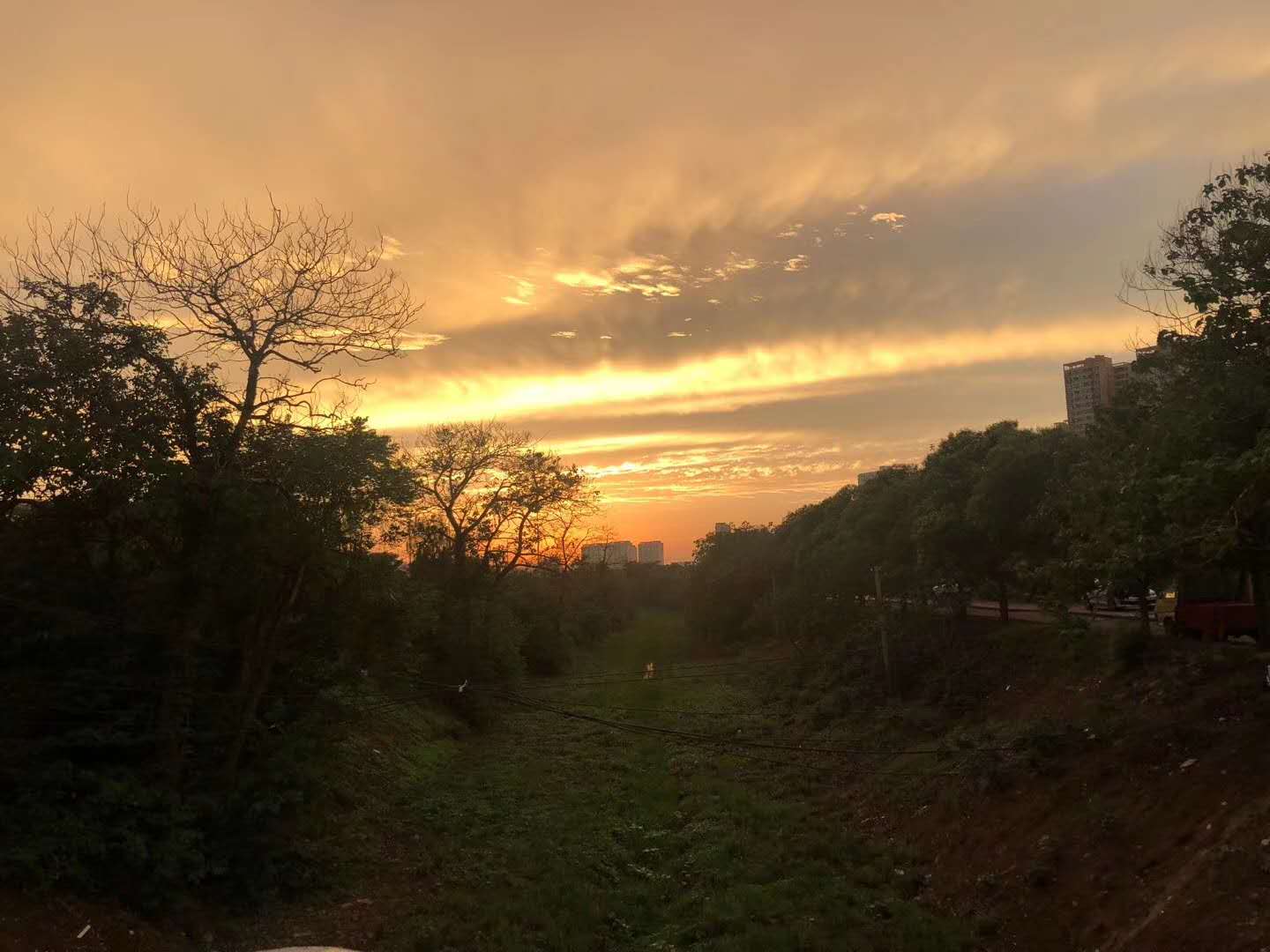 美丽洛城----被雨后彩虹霸屏的洛阳朋友圈