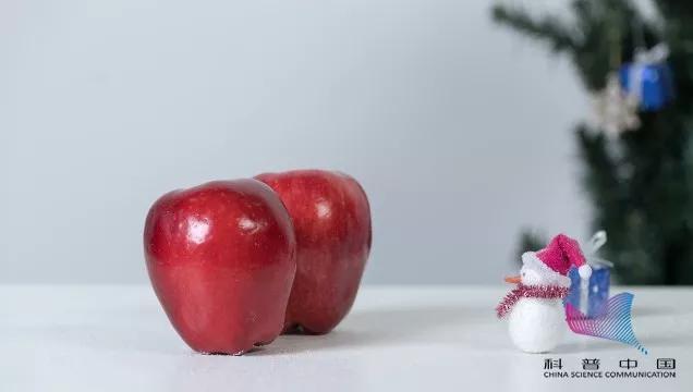 樱桃车厘子菠萝凤梨,车厘子水果和樱桃的区别