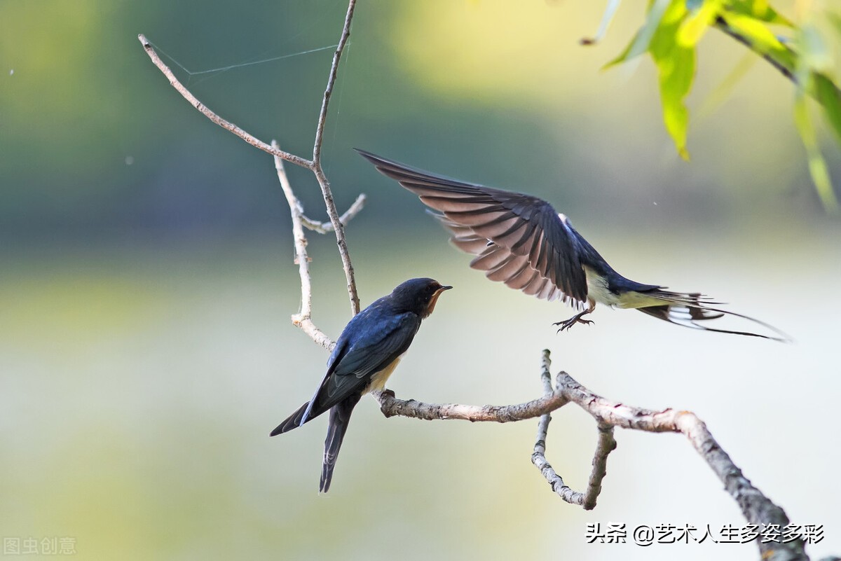 我是一条幸福的蚯蚓结尾,我是一条幸福的蚯蚓作文
