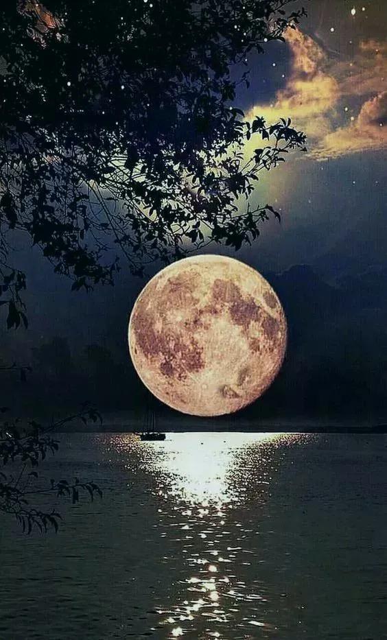 秋景诗句简单鉴赏,带秋的古诗词赏析