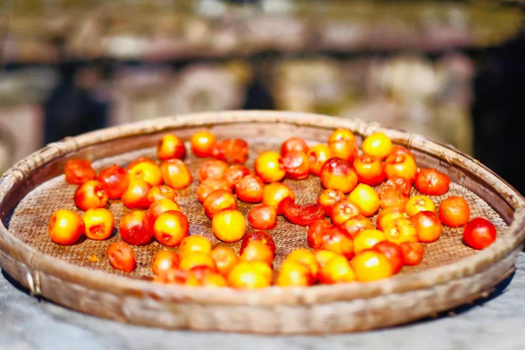 银杏古道自驾游攻略,江浙沪绝美古道苏州