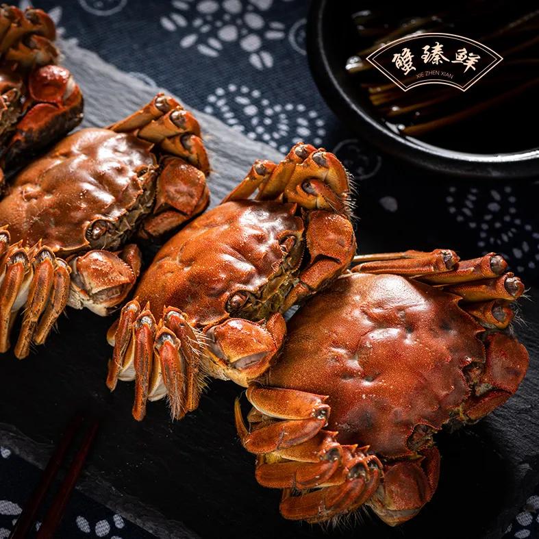 阳澄湖大闸蟹开湖活动,阳澄湖大闸蟹已进入最佳赏味期