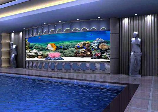 咋样挑选一个合适的鱼缸,如何选择适合自己的鱼缸