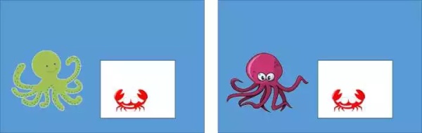 章鱼是不是地球上最聪明的生物 (科学探索章鱼的高智商来自哪里)