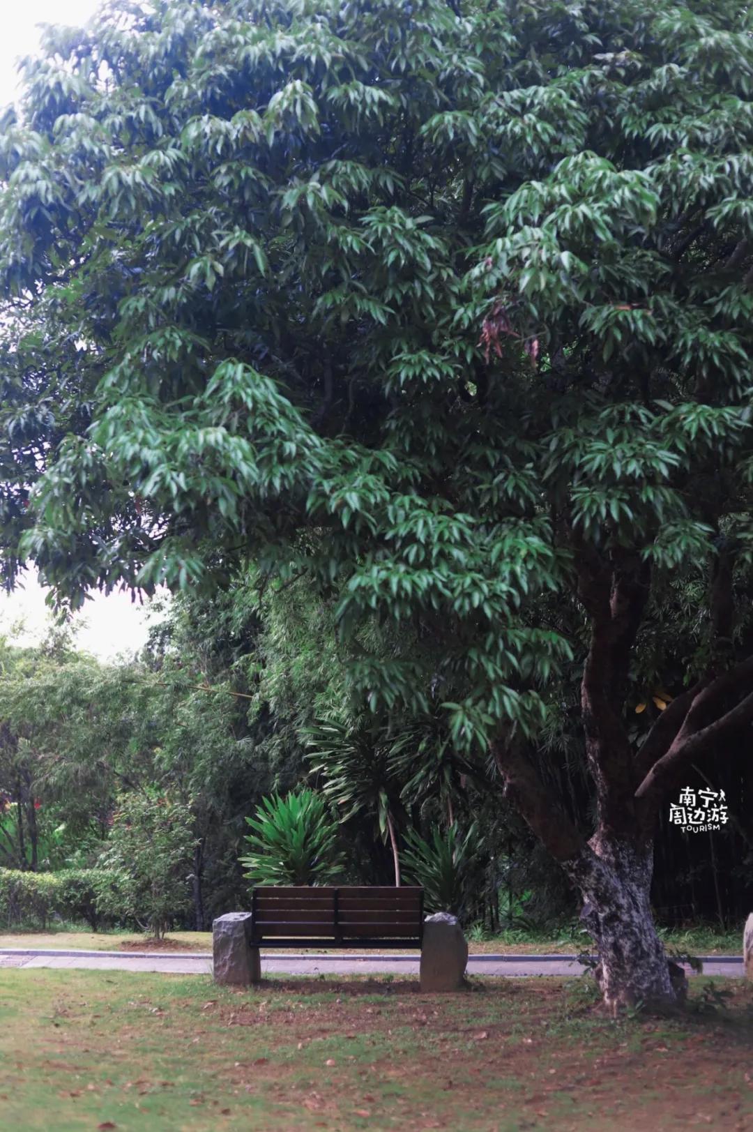 南宁花海公园在哪里,南宁嘉和城附近花海