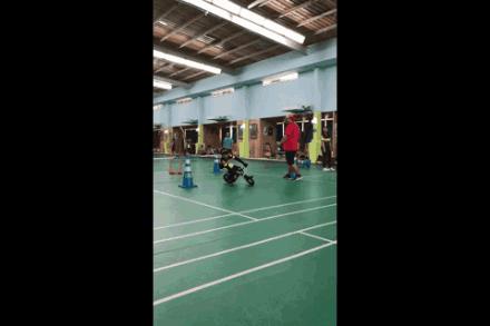 15款平衡车大摸底 (平衡车大摸底)