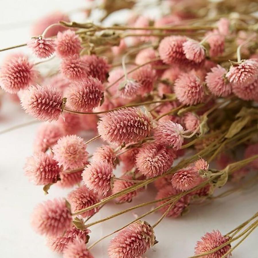 ins风房间干花布置用品,家居干花布置