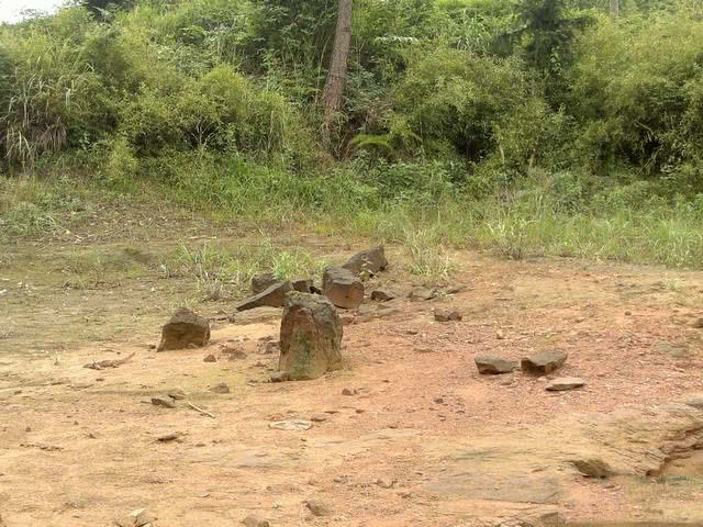 钓鱼人的困惑,这种健鲤和平常鲤鱼不一样吗?