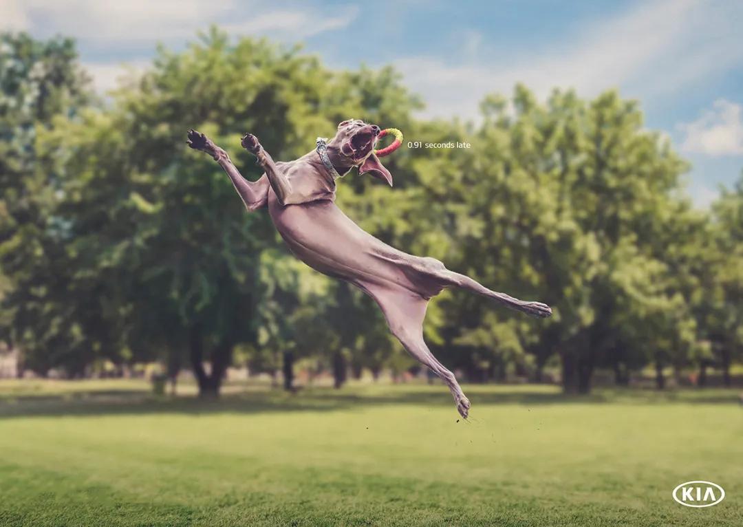 广告设计吸引人的图片,广告创意设计欣赏作品