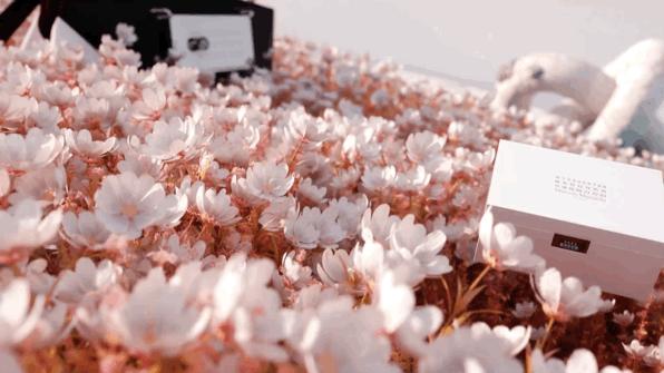 520推荐包包,520适合什么包包