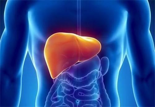 肝癌晚期中药治愈奇迹,肝癌晚期特效中药
