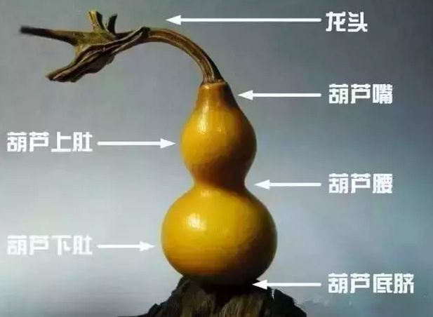 文玩葫芦抛光后还会变色吗,文玩葫芦手盘多久变红