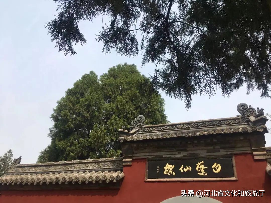 什么魅力？让一场黄粱梦穿越千年