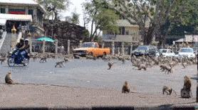 被冠以“素质低”的中国游客,如今成了一些国家最为思念的亲人