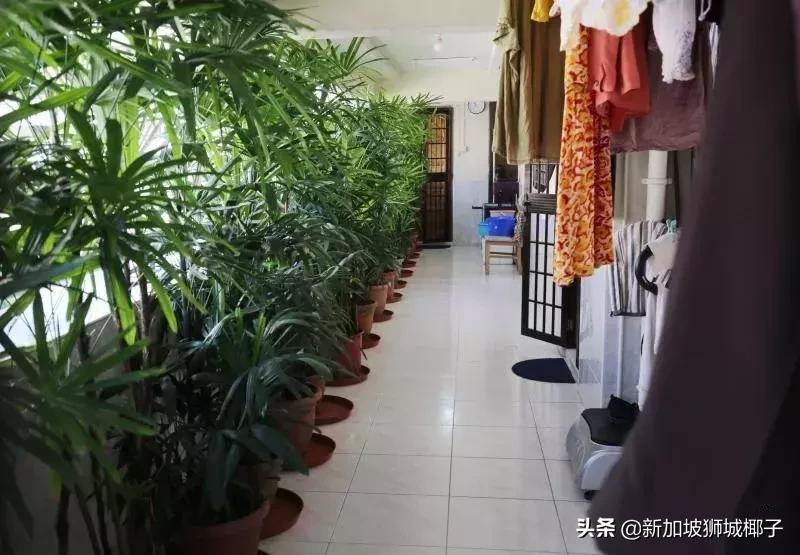 新加坡hdb是什么样的,新加坡hdb条件