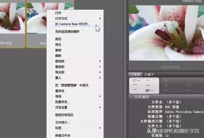 景深后期怎么合成照片,如何拍出前虚后实的景深照片