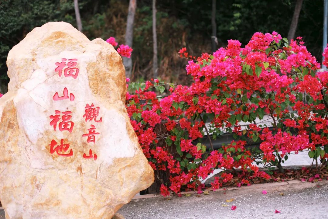 超灵验的姻缘福地!离广州深圳不到一小时,踏青赏花祈福康养首选