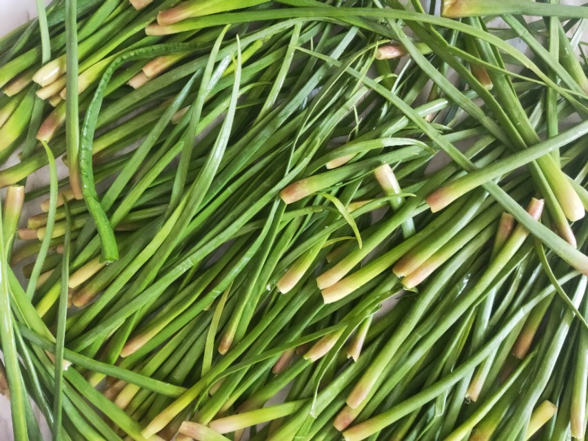 腌制蒜苔需要凉水慢泡吗,腌制又脆又好吃的蒜苔方法