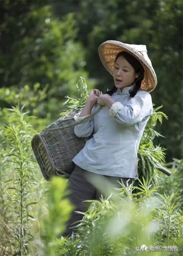 衢产电影《台阶》昨晚在杭首映！一起走近影片背后的故事……