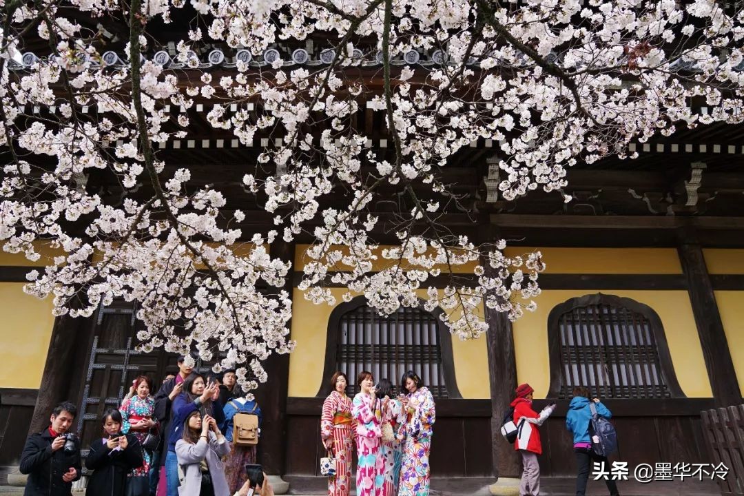 京都一眼千年的美景,京都永恒的美