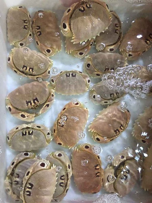 给自己一个度假的理由海南三亚,三亚度假的天堂