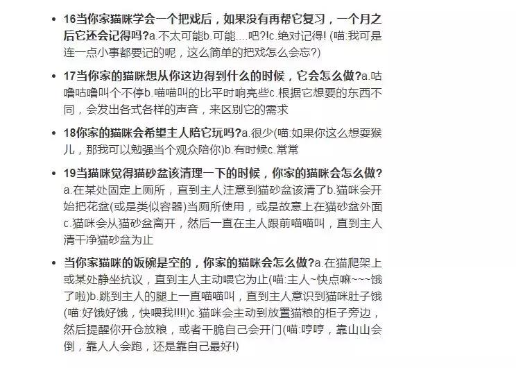 猫咪有个超有情商的铲屎官,猫咪智商测试果然豆丁智商最高