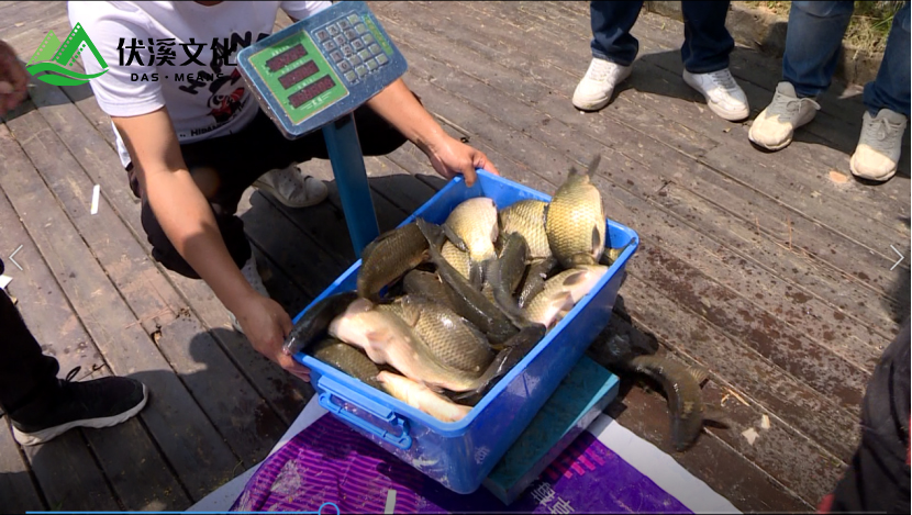 单挑百斤鱼，渔乐大明星浏阳开钓