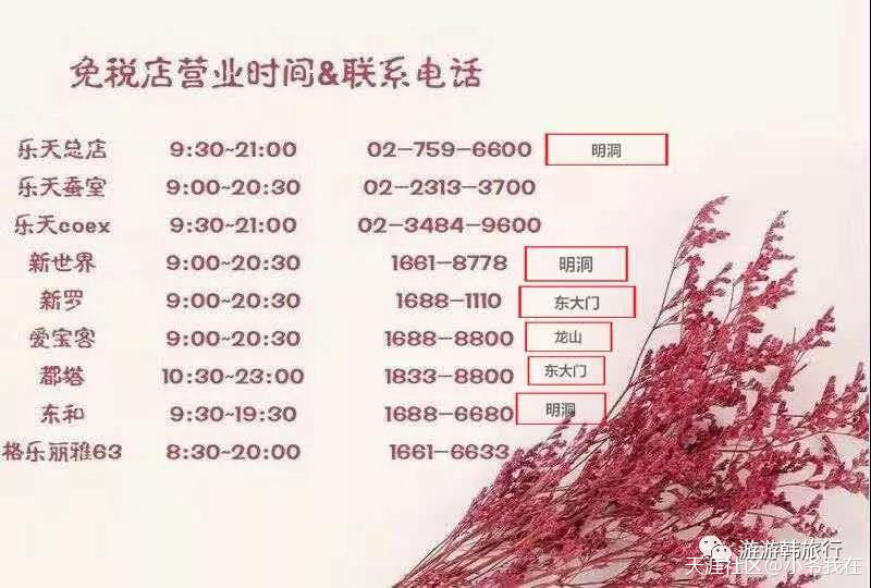 这篇太全了！一看就懂的韩国旅游走心攻略