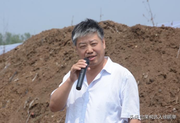 虫子王——以虫治虫的蚜虫生物防治技术体系，果农了解用处大