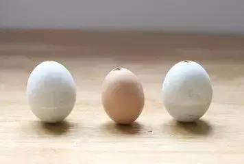 鸡蛋壳托盘手工作品创意,鸡蛋壳手工制作创意粘贴墙面画