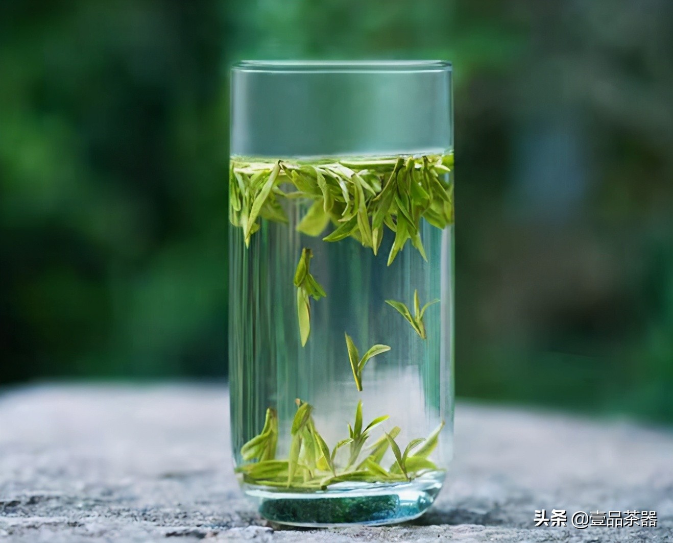 普洱茶品饮杂谈,绿茶各种茶类介绍