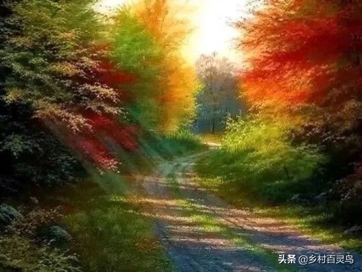 漫步在故乡的夕阳下,骑行漫步在乡间的小路上