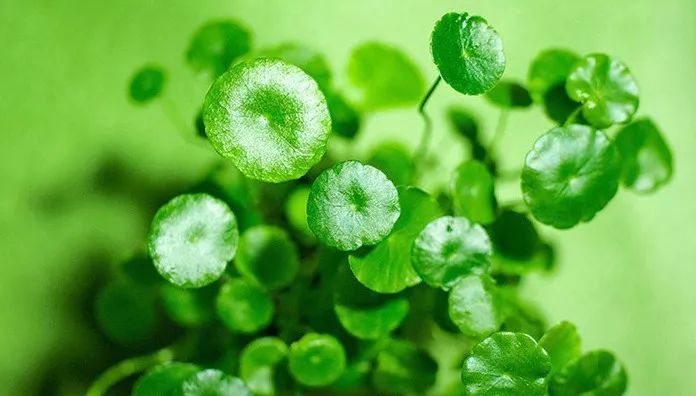 冬季敷面膜的正确方式,冬天敷面膜的好处