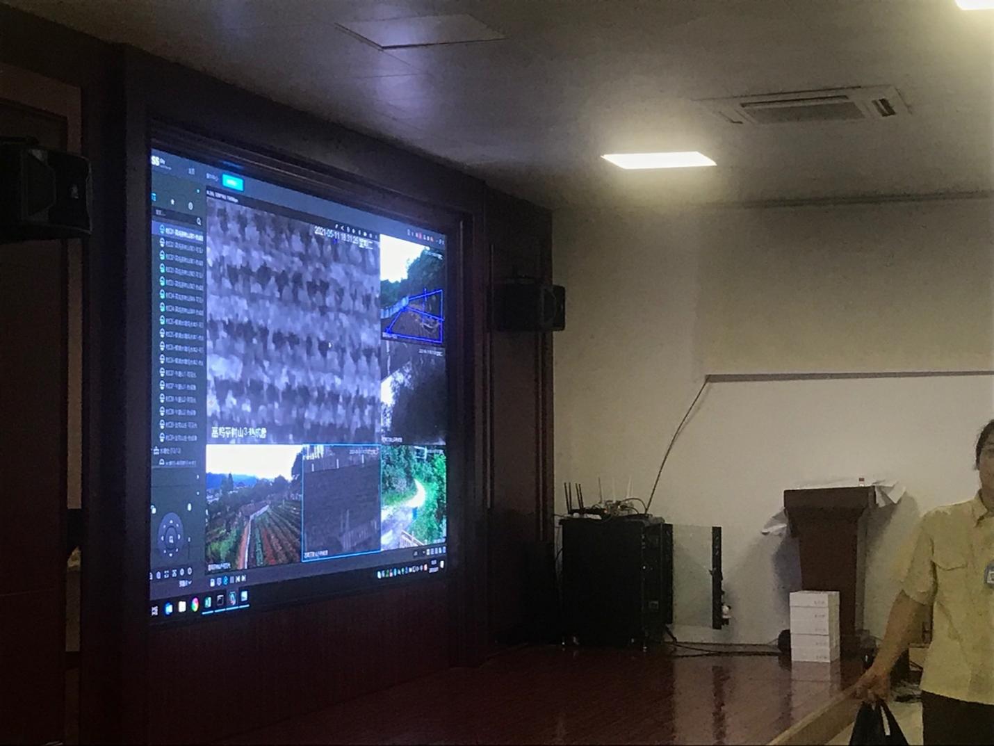 杭州金钱豹出逃最后一只找到了没,杭州金钱豹出逃最新视频