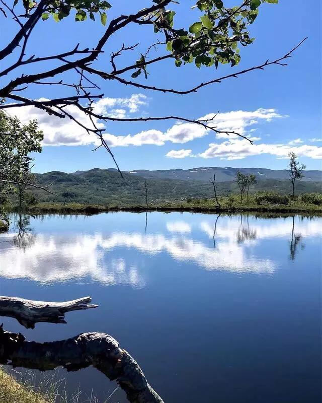 久违的蓝天白云图,看到蓝天白云心情就莫名的好