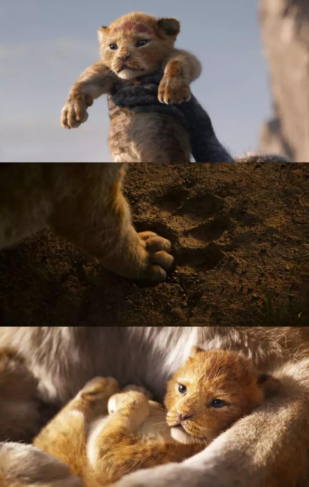 迪士尼狮子王,狮子王是迪士尼还是梦工厂