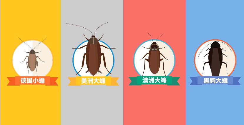 世界害虫日科普,世界害虫日