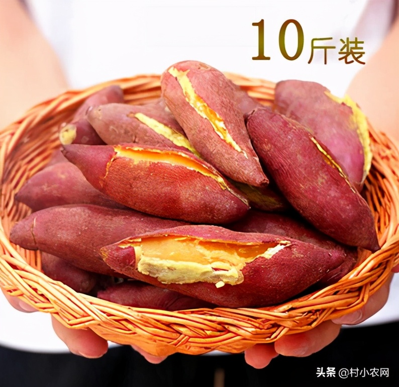 2021年农村创业国家扶持项目,2021年农村小本创业项目