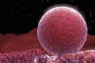 孕10周孕酮低还有必要补孕酮吗,孕11周孕酮低还要补黄体酮吗