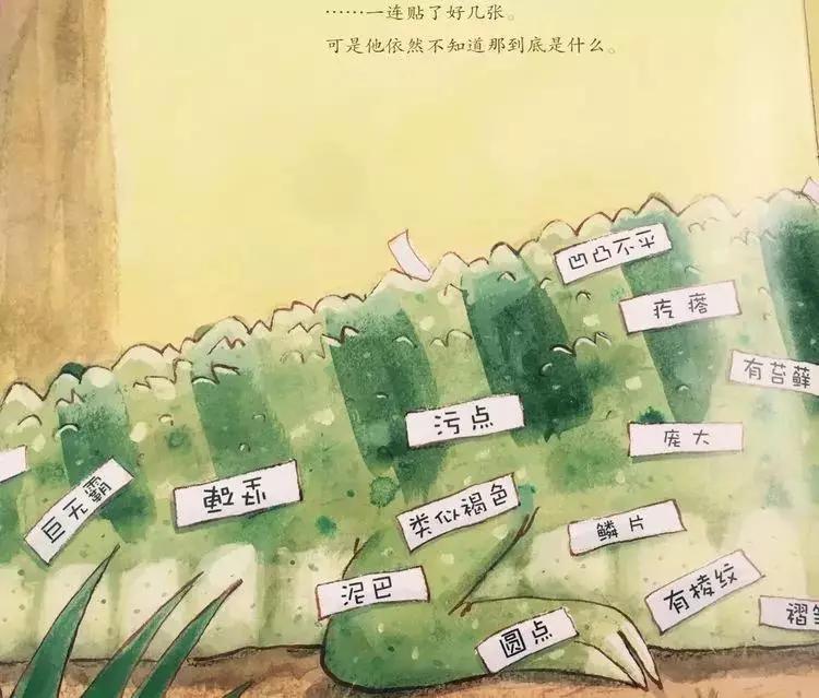 悦宝园主题课程推荐:鳄鱼|AlligatorsandCrocs